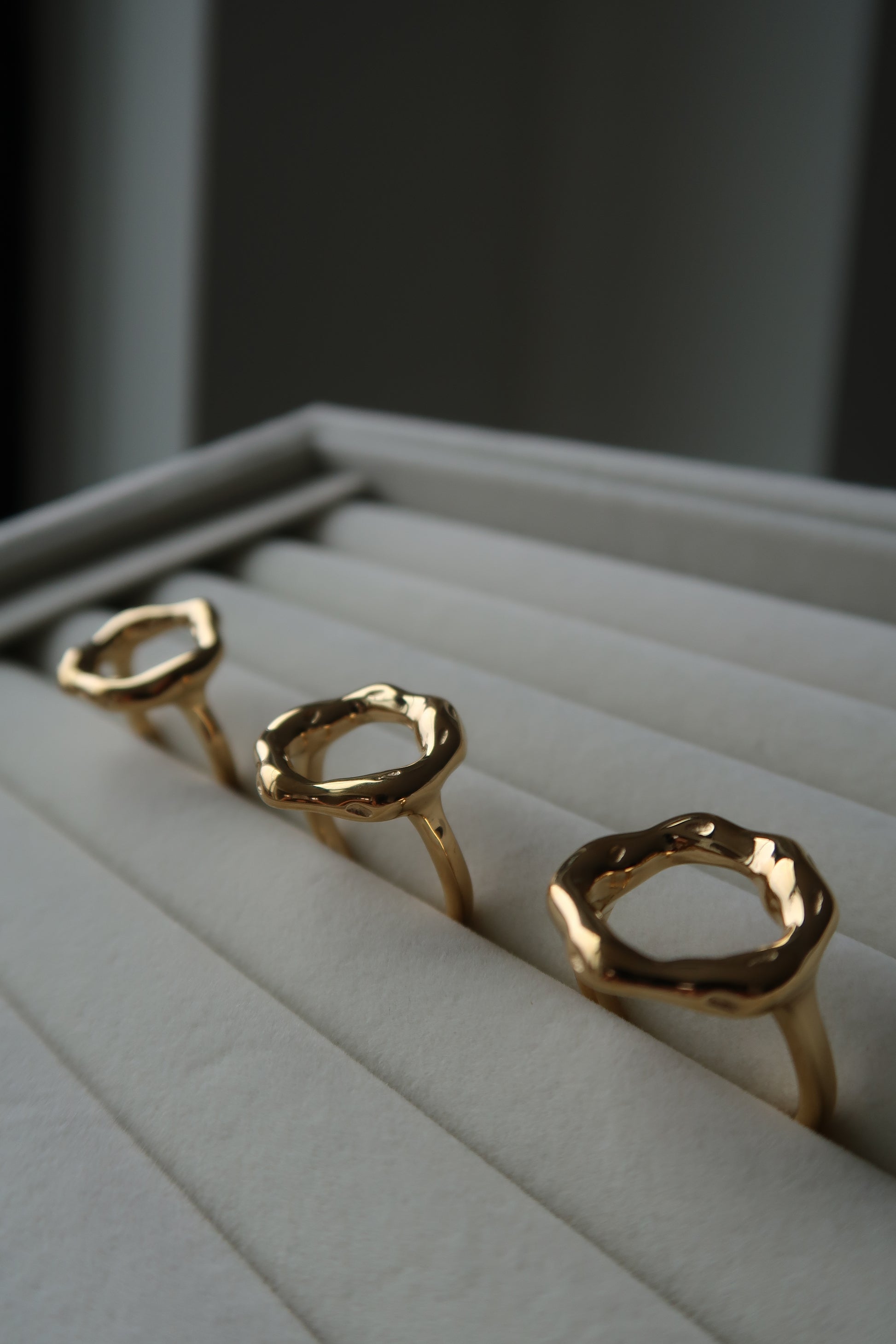 Lori Ring